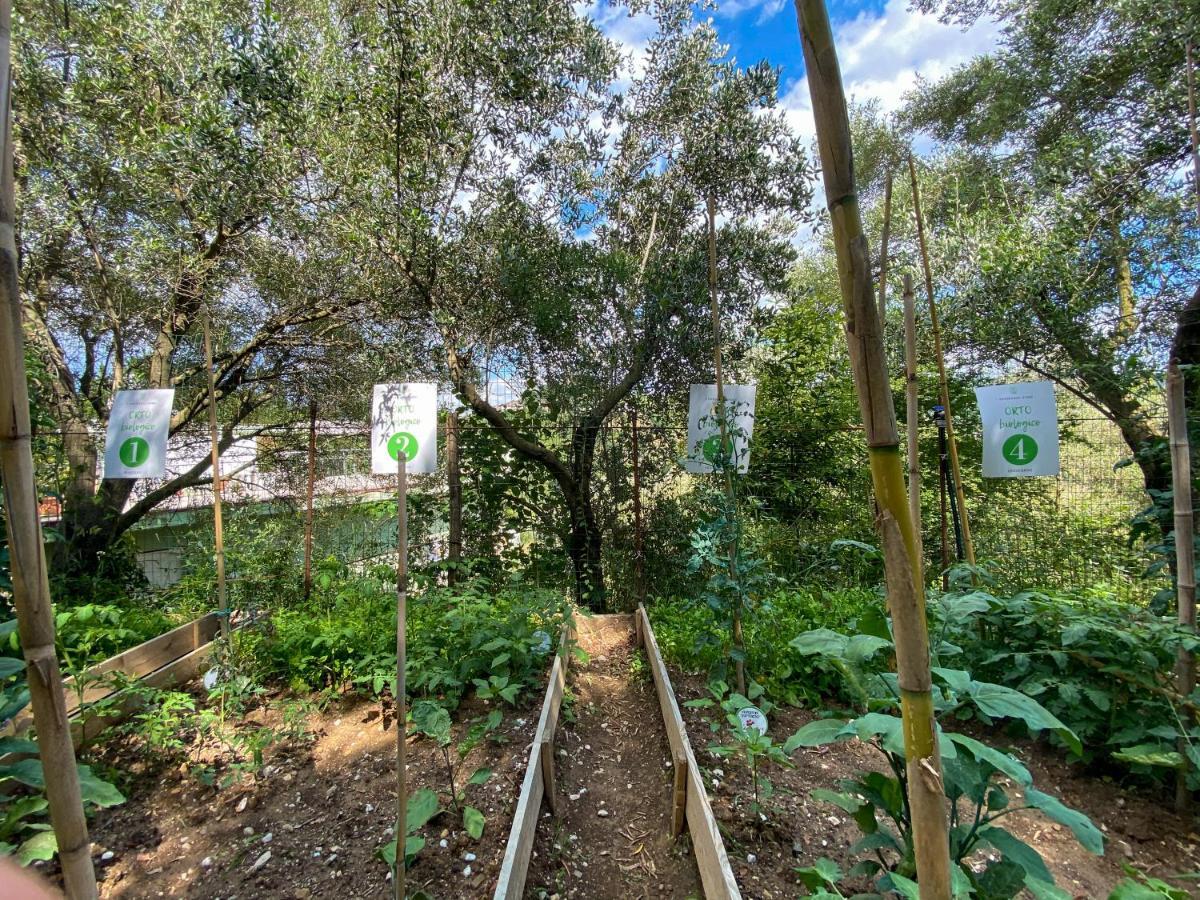 Tenuta dei Normanni Salerno Esterno foto