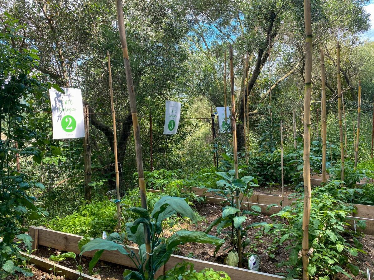Tenuta dei Normanni Salerno Esterno foto